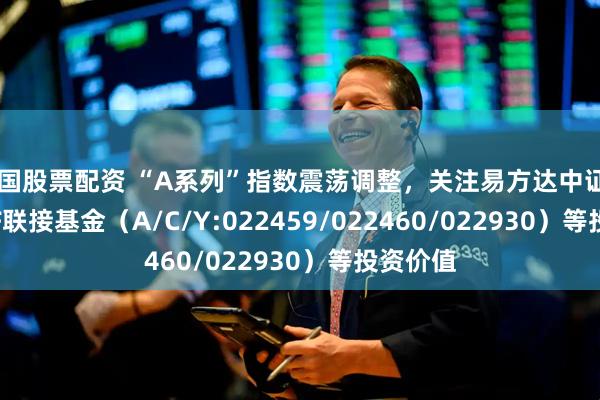 全国股票配资 “A系列”指数震荡调整，关注易方达中证A500ETF联接基金（A/C/Y:022459/022460/022930）等投资价值